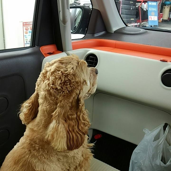 72060997 c5c6 4154 83a8 def5d1c75820