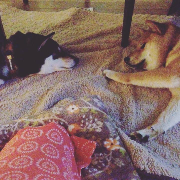 72069e38 fd28 4916 8d0a 90f041139e8e