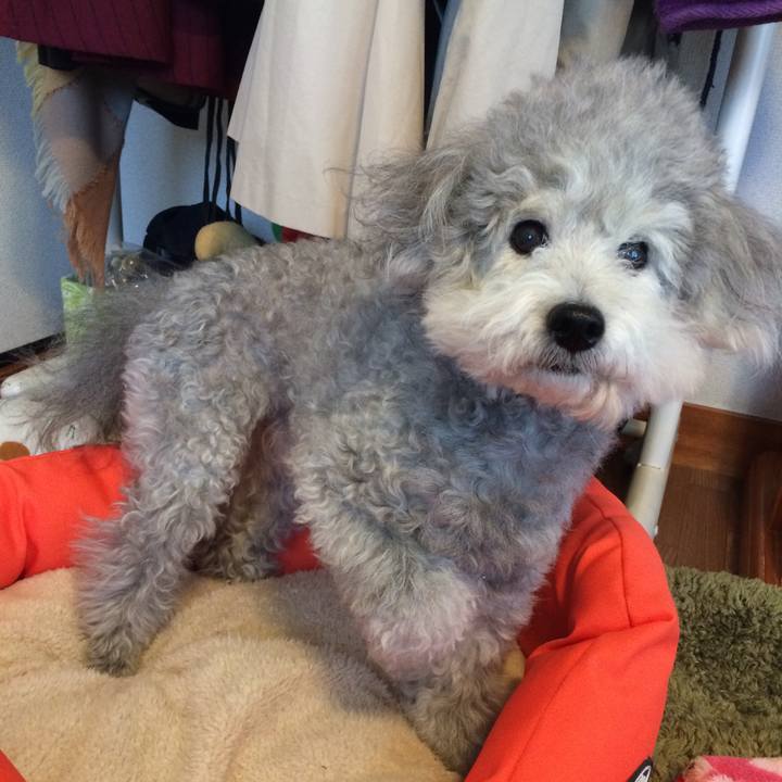 7206b65b e662 41a7 980a 0b2885ae741c