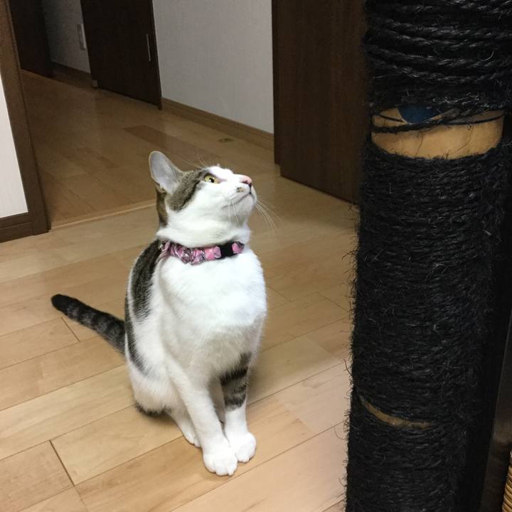 7206eaad 3cf4 46df 9d2f 8abc0b67f194