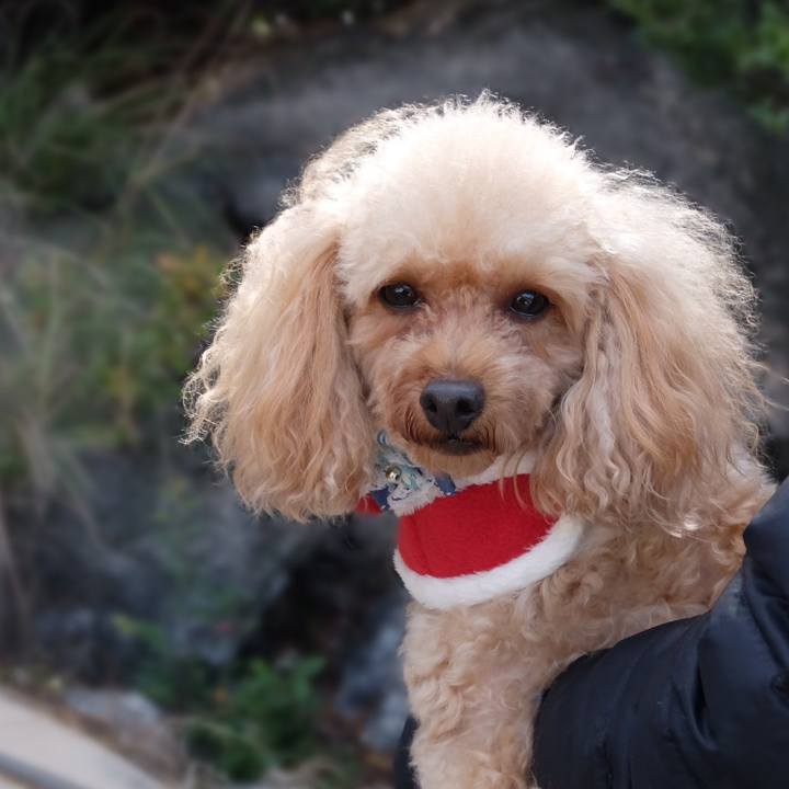 7207112c d179 4dd1 a62c 9d8d5cf167dd