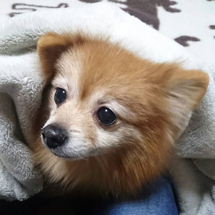 7207465f 9909 45b7 a108 2ea4c621df6c