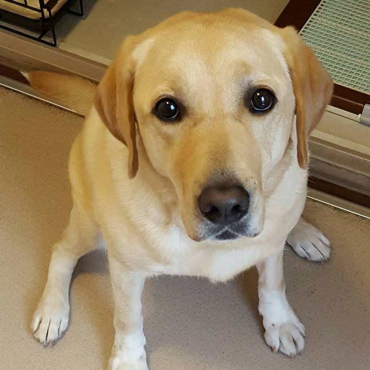 72074f46 62ac 4e9b 92d7 8921efabdf40