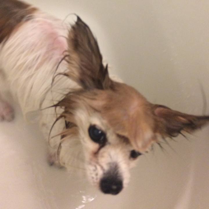 72078a75 fe46 4709 b22e 5a6a0e956500