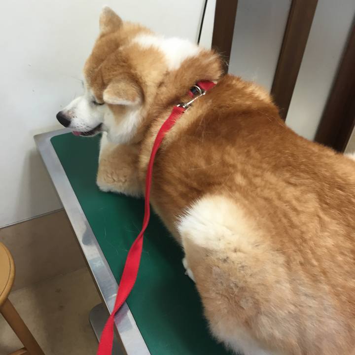 7207d28e ce2b 4879 a9d3 0b318e0aee5c