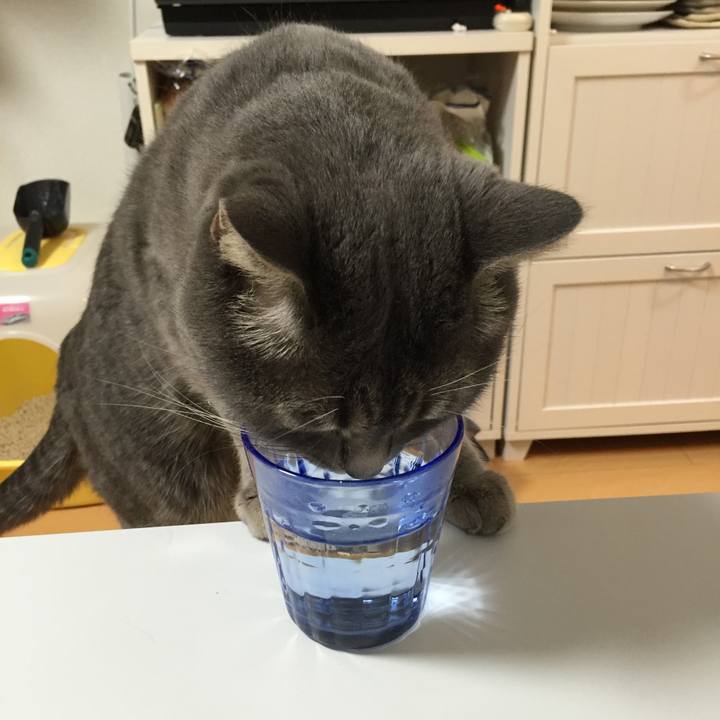 7207f404 be6f 4e32 9689 352093f85c34