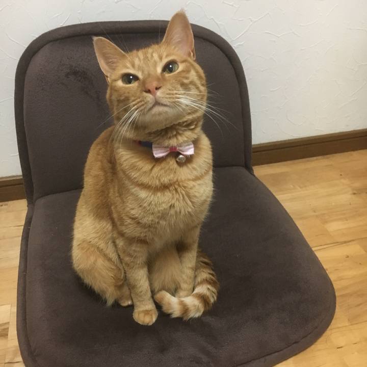 72083c1d 9b7c 49eb 91c2 0ee7bd781071