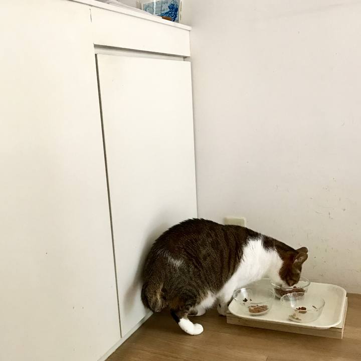 72084327 7f47 404e 8c9f 8b9f2e7f0b0a