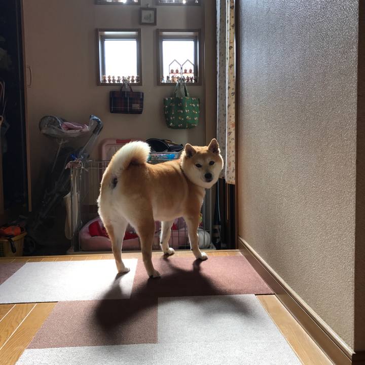 72085fb9 422b 45d1 9ed6 20eba639628d