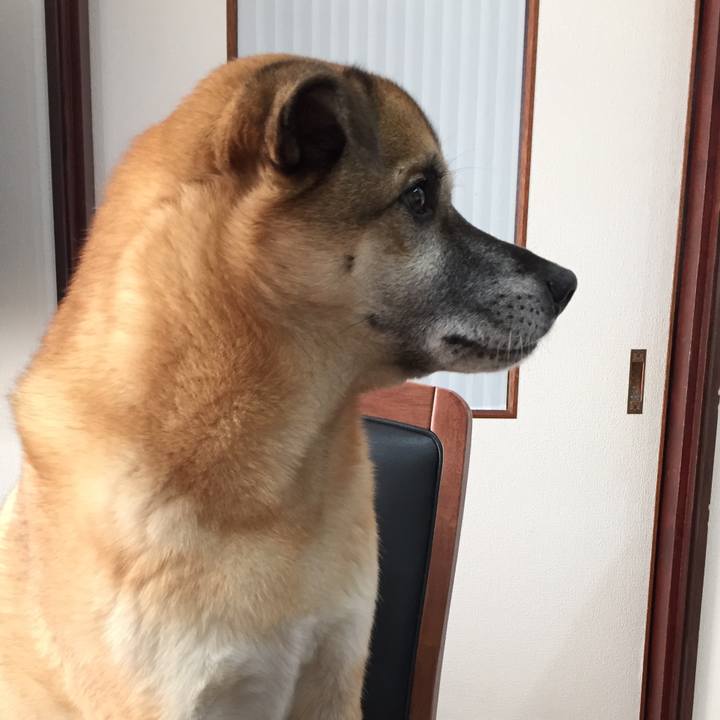 720865b9 ca46 4bea a7a6 ac7d768b68ea