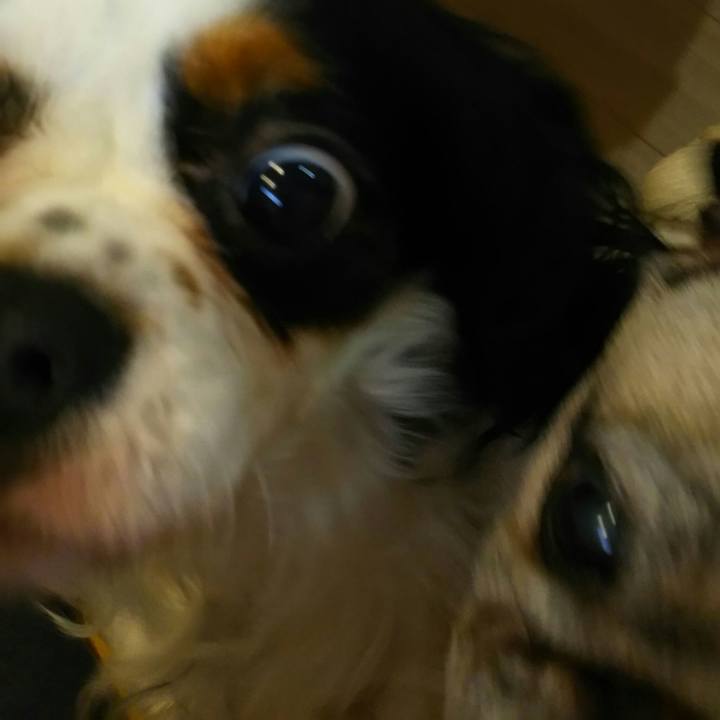 72086bf9 f94f 48cd a9b8 54599aace227