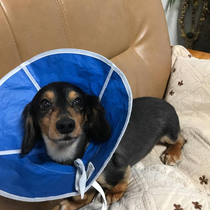 7208bba1 917c 44da 9375 f424b906dc8f