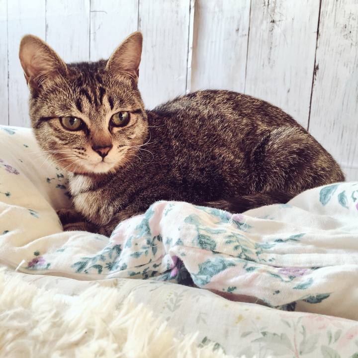 7208e3cb fb13 4022 8d99 1e3112d273c8