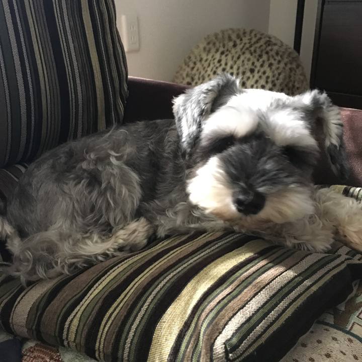 7208ed47 2202 4926 bca2 d2bcd6a6ba2f