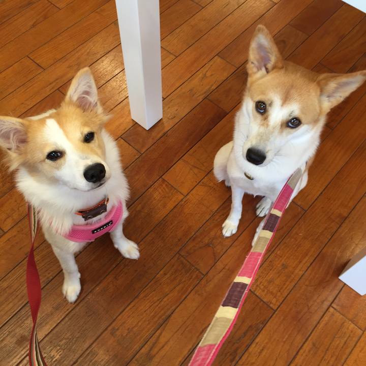 72099d94 38b2 4f3d 971c 778907724eaa