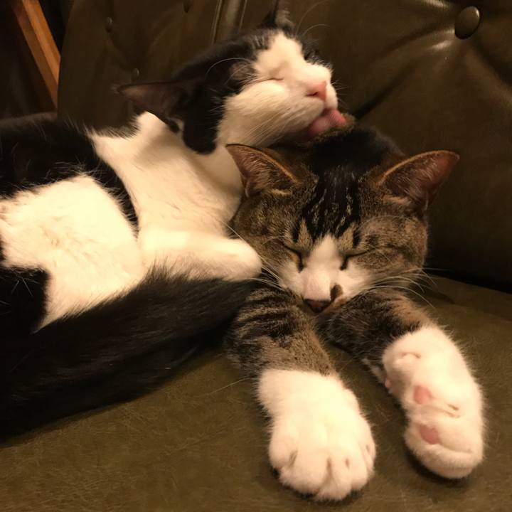 7209a468 b6fd 4a1a ac44 9382d9051703