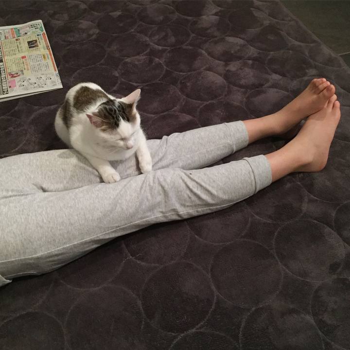 720a6de1 8f39 4d27 931a fa7af9a956e5