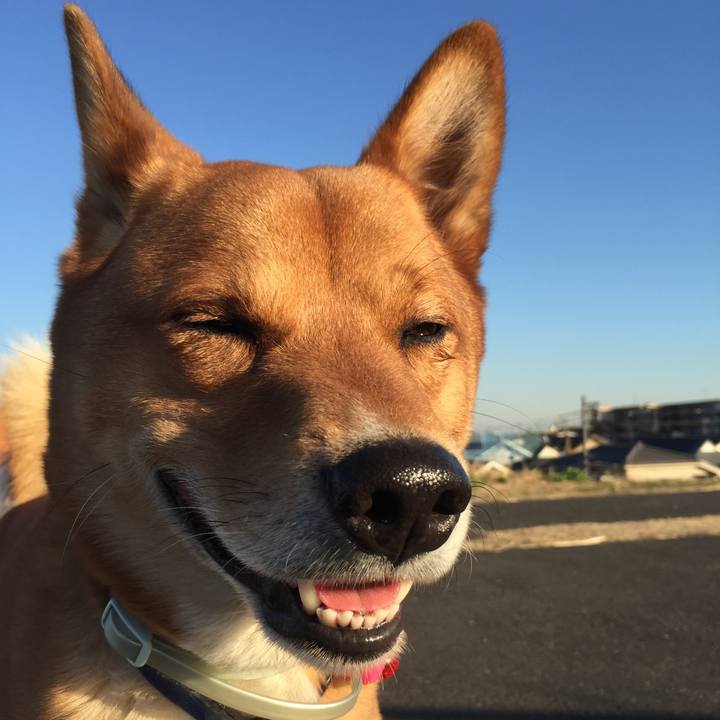 720af49b 4aed 48e1 a61d f29be113f837