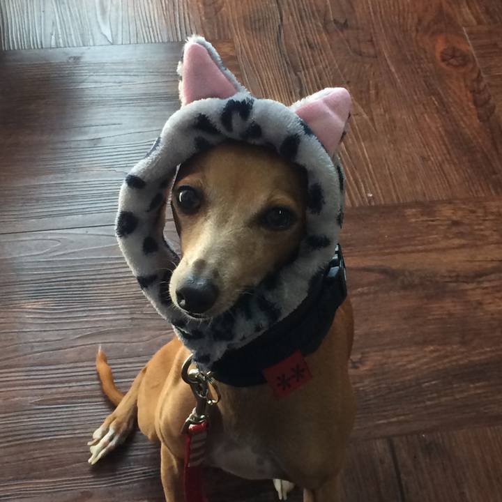 720b998f 236e 41eb 9066 68269824afc4