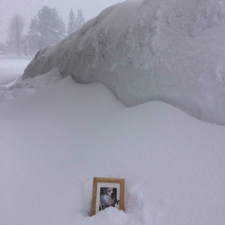 720cc512 98cf 4245 b835 802aa2994d68