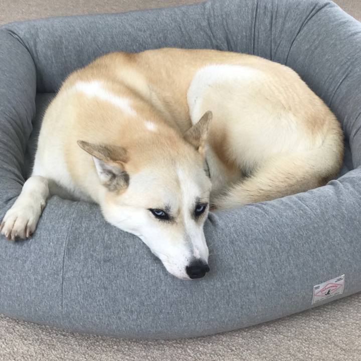 720ce781 502a 4441 845e 4df1f398699b