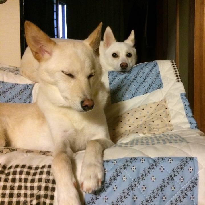 720d51ac 6aa9 444b b373 353f6ebf5c73