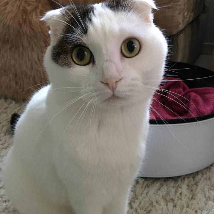 720d6b4c 7938 4995 81ee 733a7600ced4