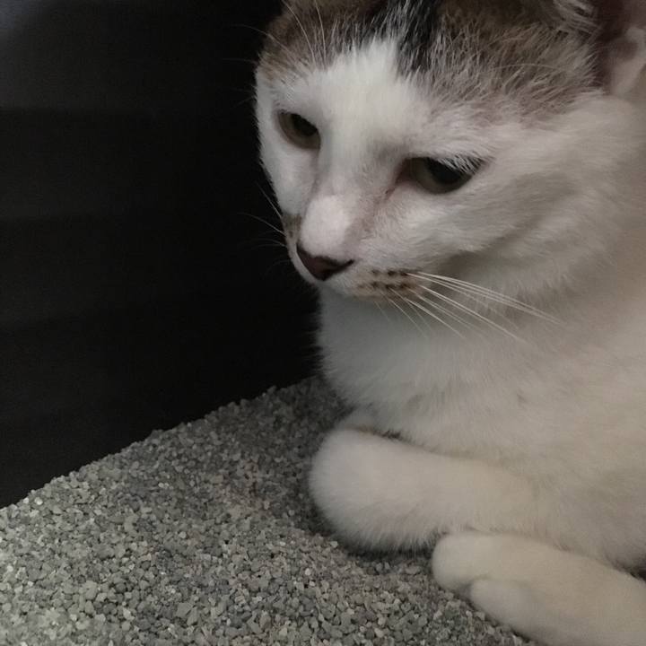 720ddfab 5303 4aa5 87a5 19a51fb774ca