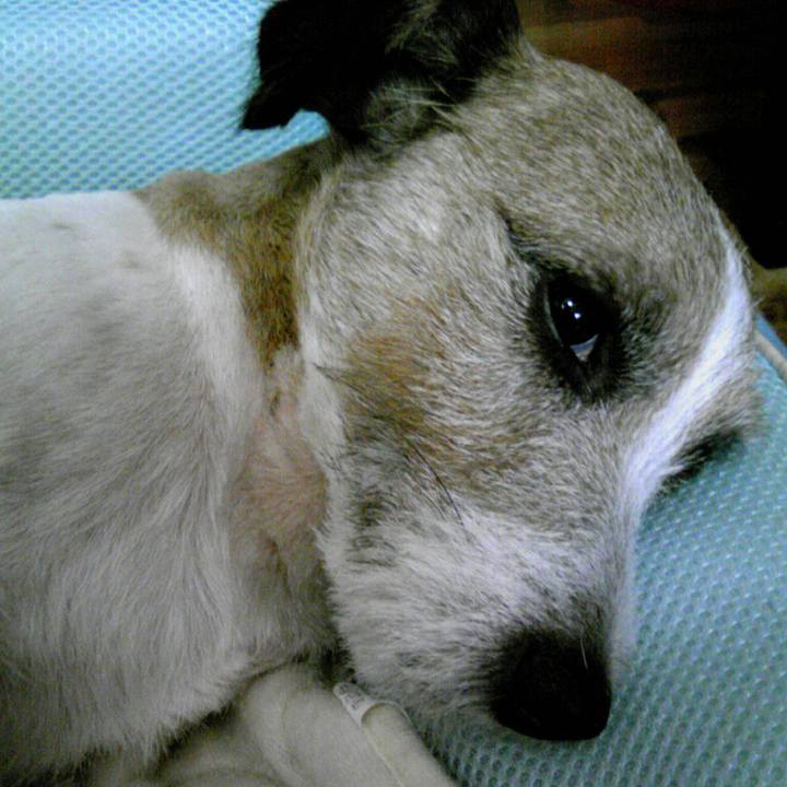 720e6a99 8b3e 4428 9891 eebf47034934