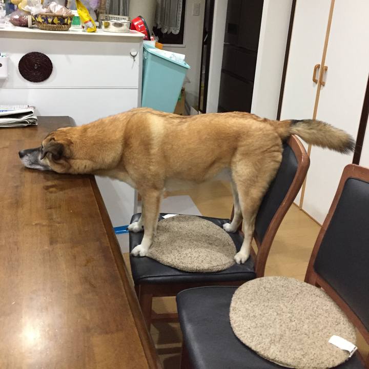 720fa737 7630 4720 bb62 64ff7002a525