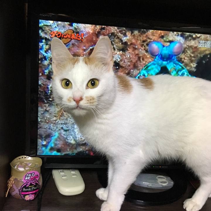 720fe5ea e07b 44ed 95c6 8e57eaf98352