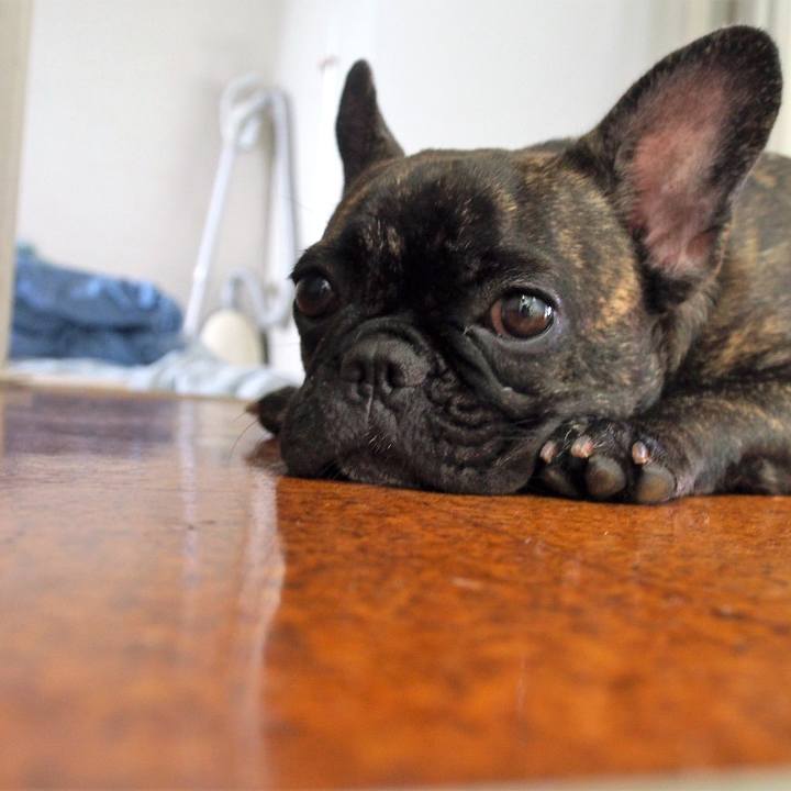 72106b58 0bb4 4a04 804f 6f42976475f8