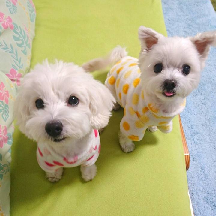 7210e4ad 33ff 4c00 844a 3f5bccc298e1