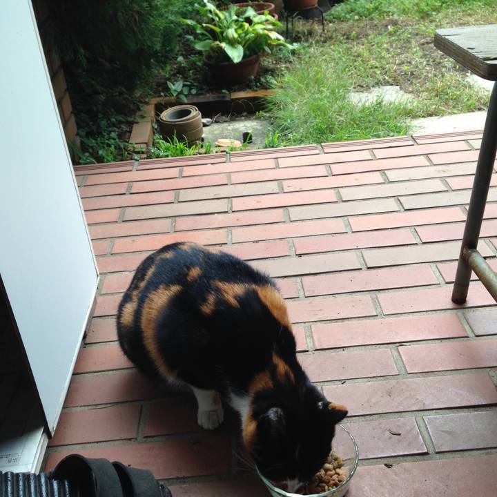 7212512a cf0c 4008 acbb 02c4ce0c4402