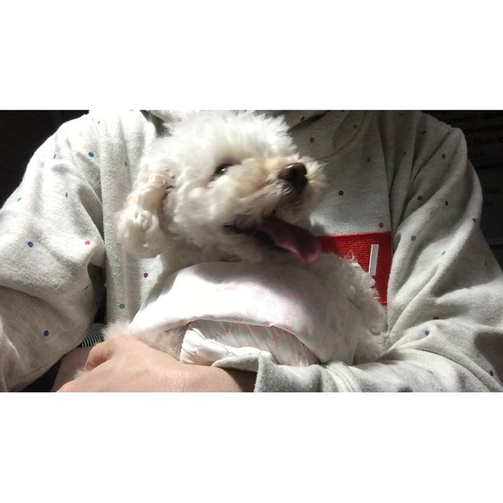 7212a2c5 c67e 401d 9783 e3c3a17c9f4c