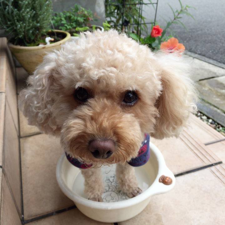 7212d379 85f4 44b6 a70f 1156c4781c6f