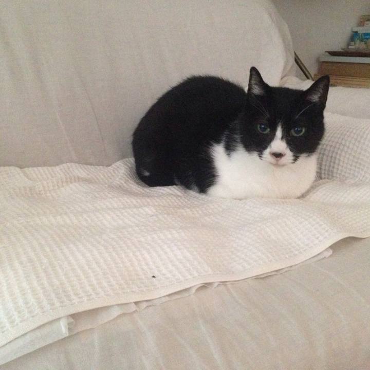 7213600a e63f 489f a860 308a251a08d3