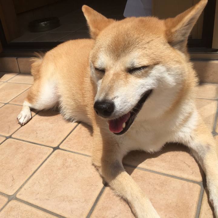 72154f9a da67 43da a2d1 748275a0f8db