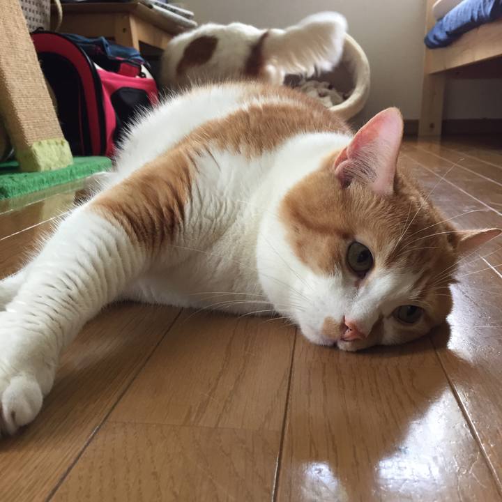 72159680 afb4 49e8 ab09 bf9477942fb8