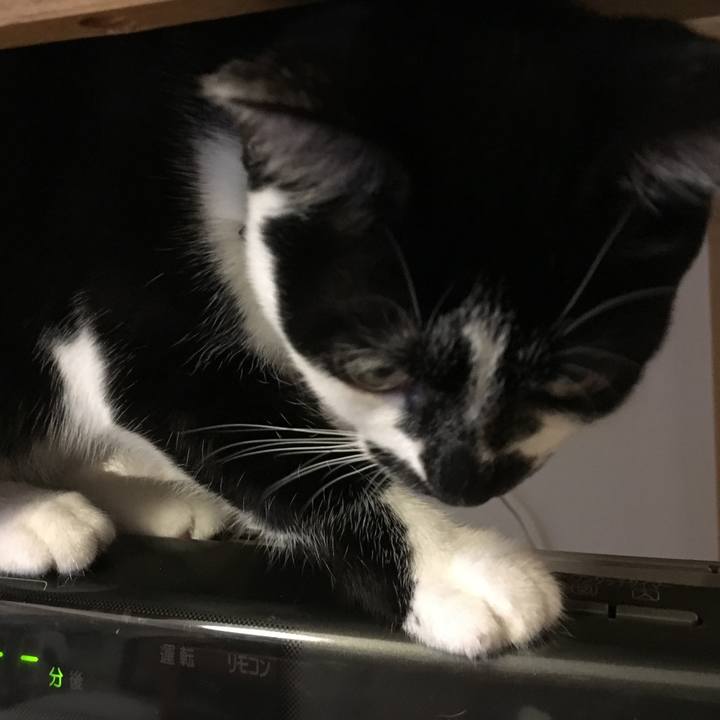 721649f8 58e0 4891 b98a 4958c0874991