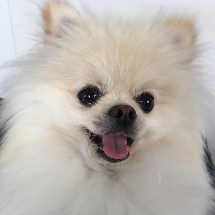 72168613 3207 46d7 b3e2 252ddf06e31f