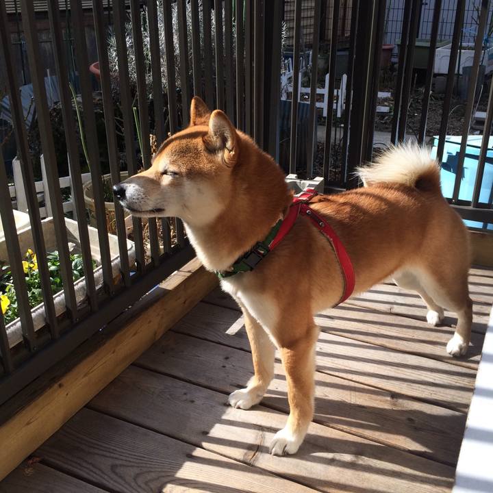 72172892 d9a3 4b72 bbca bb74e028d124