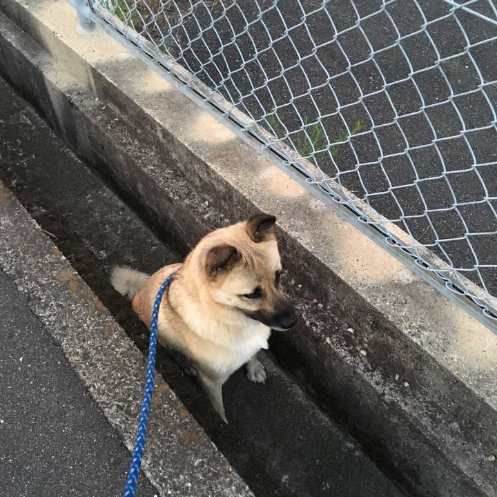 721750b9 b951 4b47 bdde 46360a53ddbb