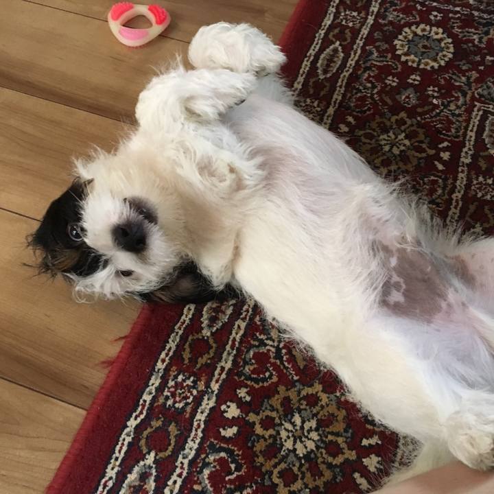 721754e0 964e 482a 973f b5c70a77fc87