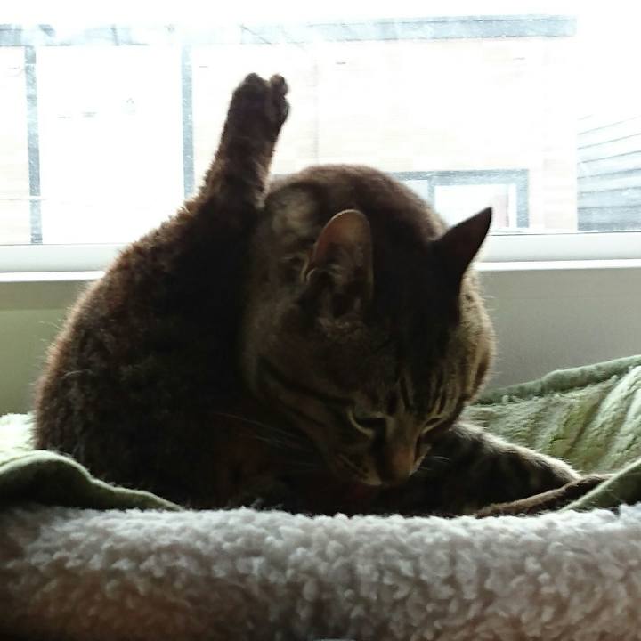 72177076 4b95 4fc8 9404 9b825701154b