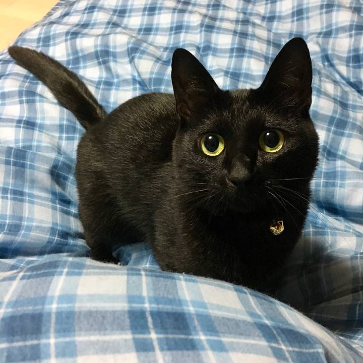 7217d01a d839 4c37 8d59 6b3eb836c206