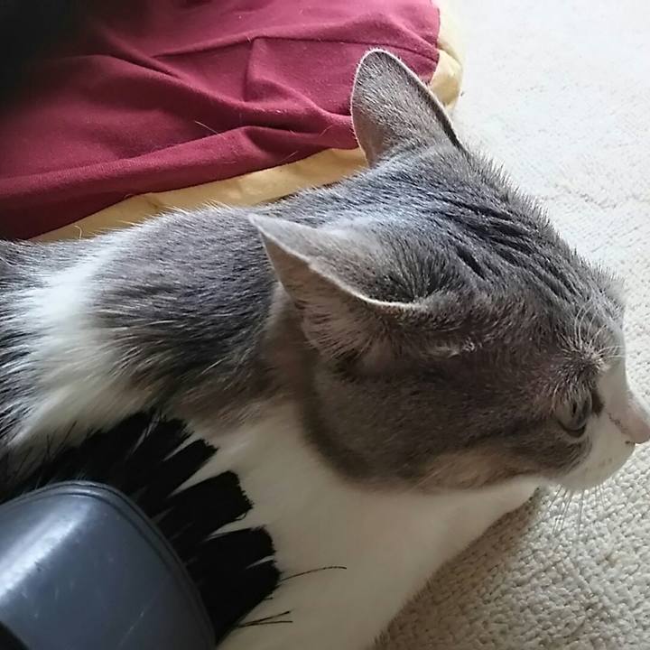 721826d5 17c0 4b2e 9107 a879846d4604