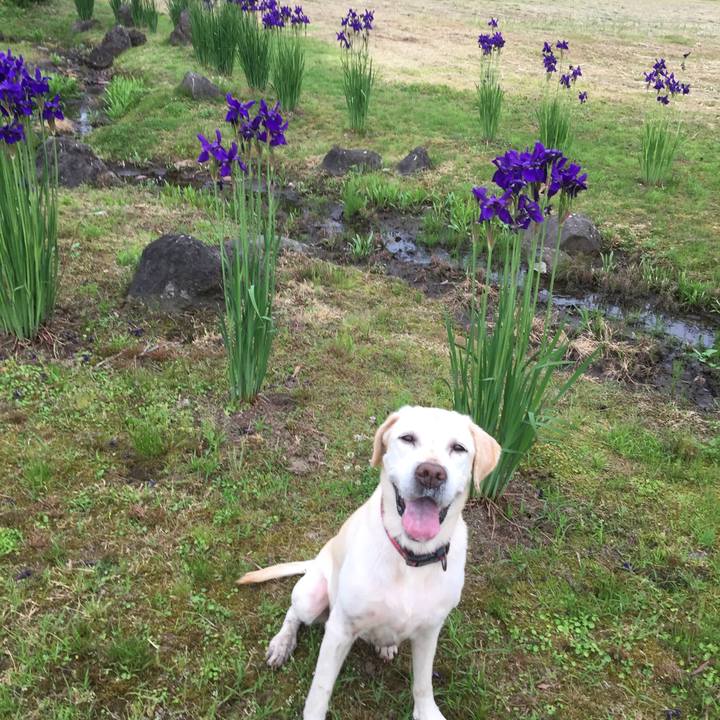 72185d2f 5cfc 4b6a 94af 80d56a2b9b7d