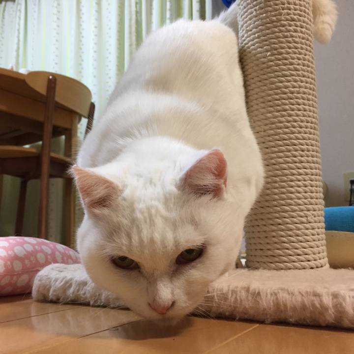 72198fda d9ec 42c2 b709 46465e0f1b16