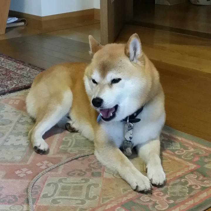 7219c635 2ca5 4439 bfcc 5441bc5614ae